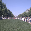 2010-05-24 Champs fleuris 2_l.jpg